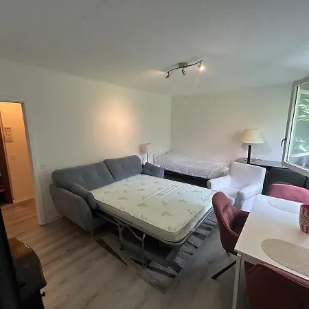 Cosy 公寓 蒙特勒