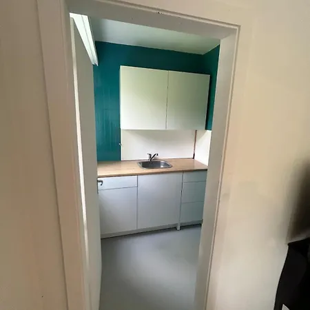 Cosy 公寓 蒙特勒