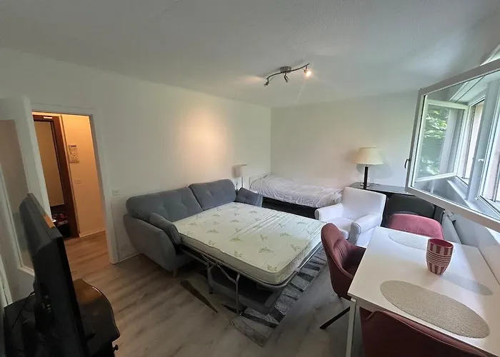 Cosy 公寓 蒙特勒