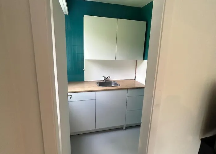 Cosy 公寓 蒙特勒